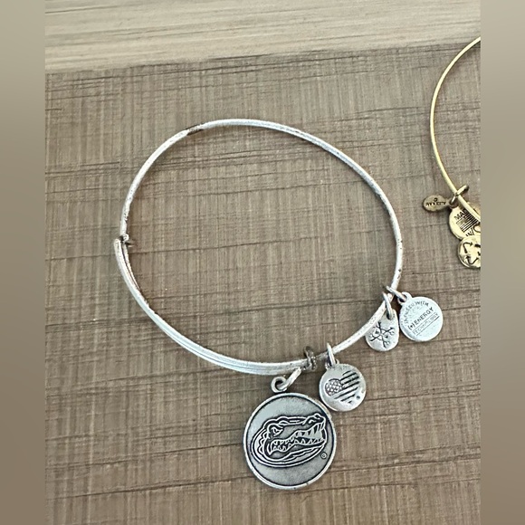 Florida Gator Charm bracelet - Picture 1 of 1